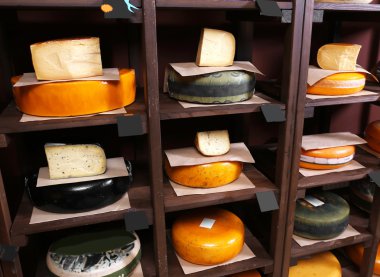 farklı peynir çeşitleri. 