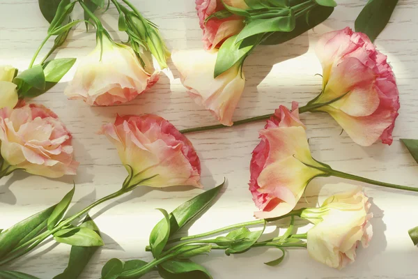 Krásné jemné květiny — Stock fotografie