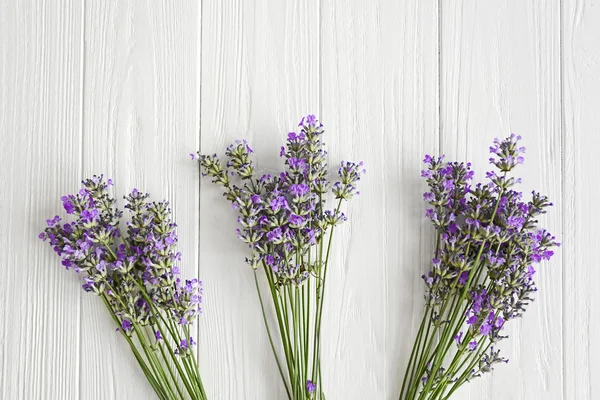 Lavender flowers bunches — Stock Photo, Image