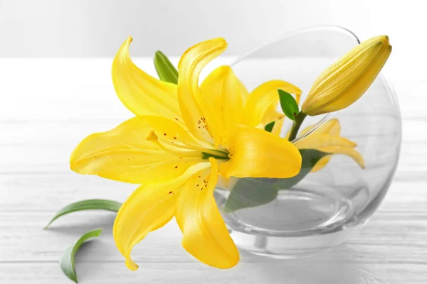 Beautiful fresh lilies — Stock Photo, Image