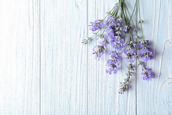 Lavender flowers close-up — Stock Photo, Image