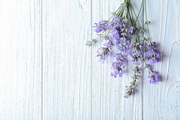 Flores de lavanda close-up — Fotografia de Stock