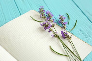 Not Defteri ile lavanta çiçekleri 