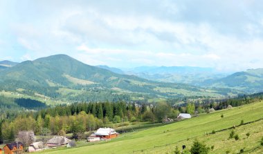 Yaz orman dağ yamaçlarında