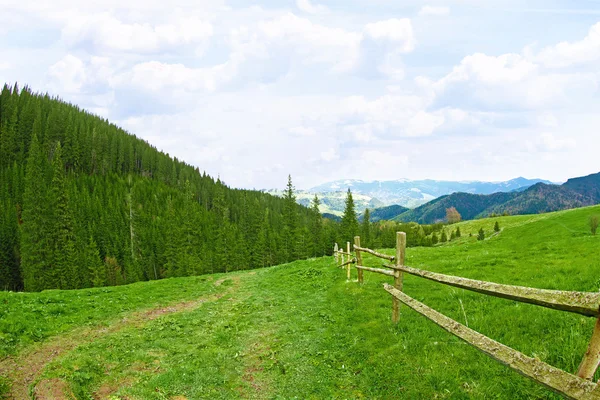 Bosque de primavera en laderas de montaña — Foto de Stock