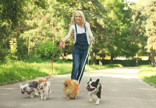 Frau geht Hunde im Park spazieren — Stockfoto