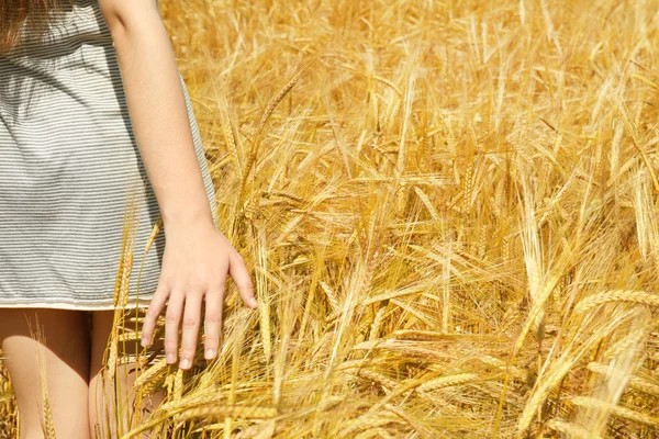 Žena dotyku pšenice na poli — Stock fotografie