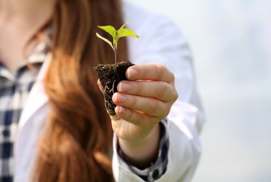İşyerinde kadın çiftçi 