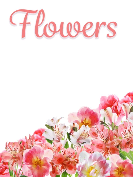 Ročník květinové karta — Stock fotografie