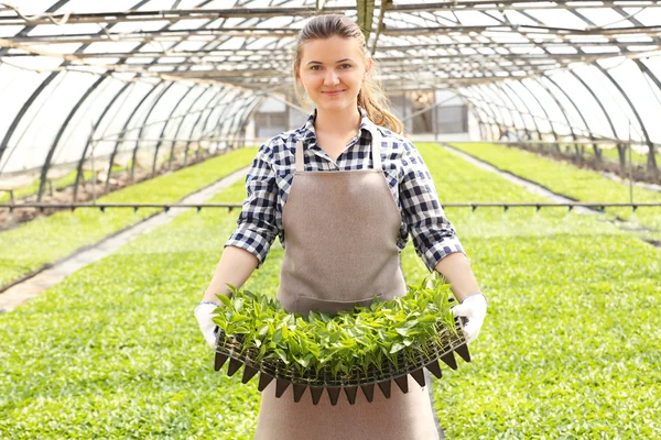 Working female farmer — Stock Photo, Image