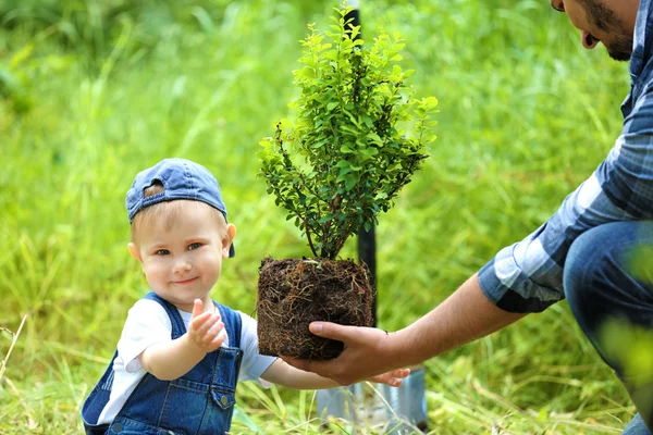 Bayi laki-laki menanam pohon dengan orang tua — Stok Foto
