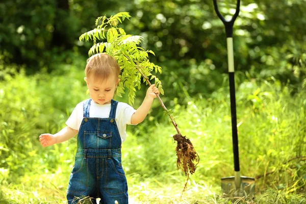 かわいい赤ちゃん男の子植栽木 — ストック写真