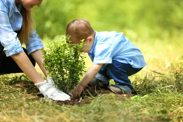 Baby dreng plantning træ med forælder - Stock-foto