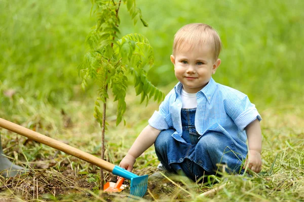 Niedlicher kleiner Junge pflanzt Baum — Stockfoto