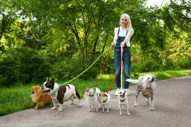 Kadın ile köpek Park yürüme