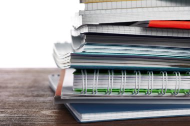 Okul not defterleri, portre