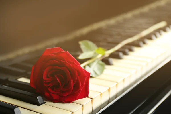 Rosa roja en la tecla piano —  Fotos de Stock