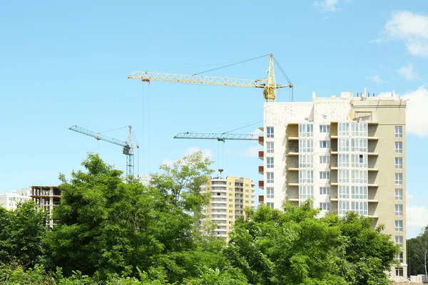 Grue et construction de bâtiments — Photo