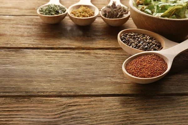 Healing seeds and dried herbs — Stock Photo, Image