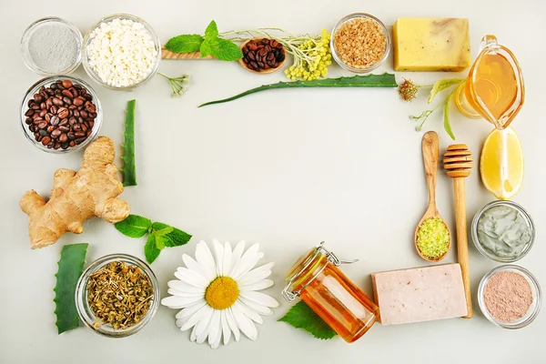 Frame of natural ingredients for skin care — Stock Photo, Image