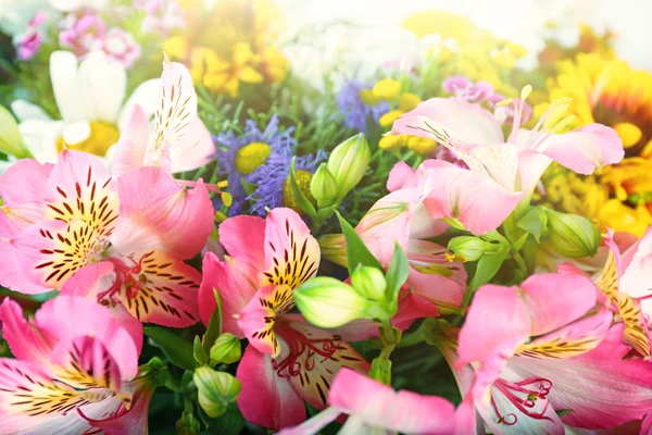 Vackra blommor bakgrund — Stockfoto