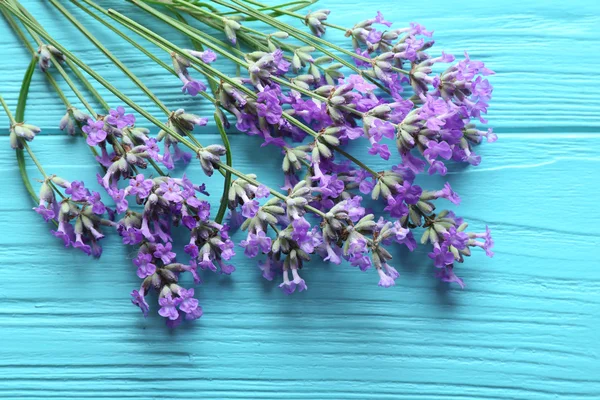 Flores de lavanda en azul — Foto de Stock