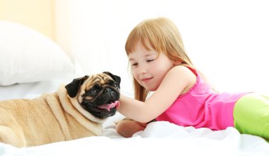 kız ve sevimli pug