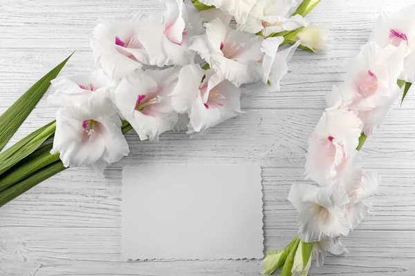 美丽的唐菖蒲花 — 图库照片