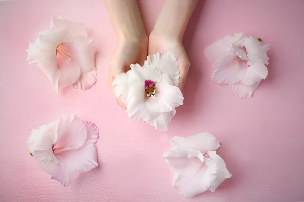 グラジオラスの花を保持している女性の手 — ストック写真