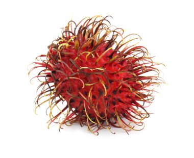 Beyaz üzerine sulu rambutan