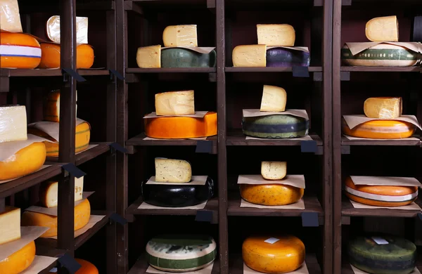 Diferentes tipos de queijo nas prateleiras — Fotografia de Stock