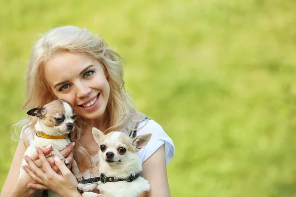Woman holding fluffy dogs — Stock Photo, Image