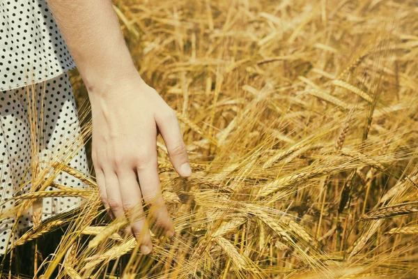 Mladá žena dotyku pšenice — Stock fotografie