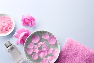 Spa tedavisinin bileşimi