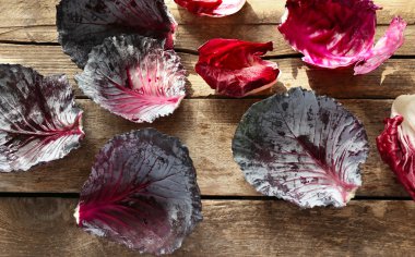 Kırmızı lahana yaprakları