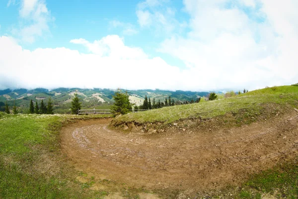 Camino en el bosque de montaña —  Fotos de Stock