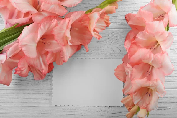 美しいグラジオラス花 — ストック写真