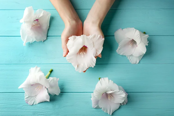 Mani che tengono fiore gladiolo — Foto Stock