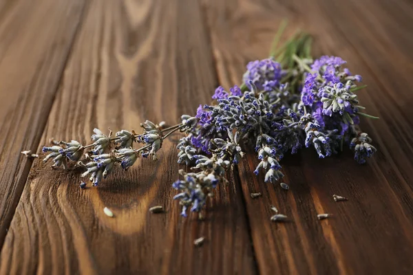 Lavanda aromática fresca —  Fotos de Stock