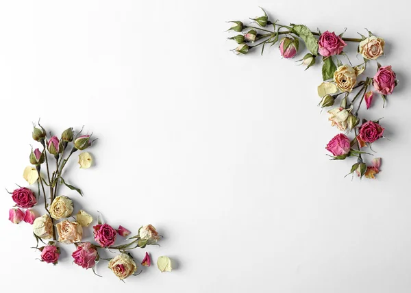 Dried rose buds — Stock Photo, Image