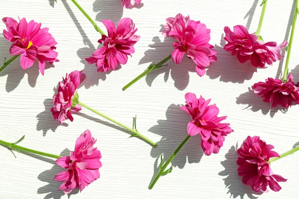 Svěží barevné květiny na dřevěné pozadí — Stock fotografie