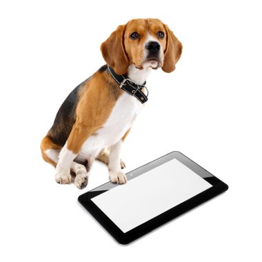 Tablet ile komik şirin köpek 