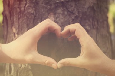 Eller kalbi şekillendirir