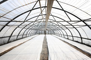 Plastik film ile kaplı bitkiler 