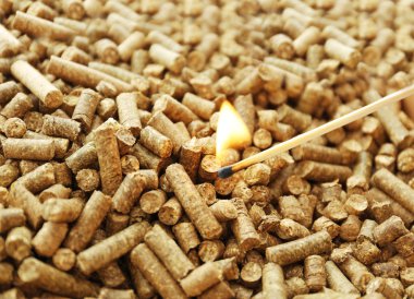 insan eli holding kibriti