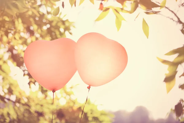 Love heart balloons — Stock Photo, Image