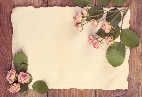 Dried roses on sheet of paper — Stock Photo, Image