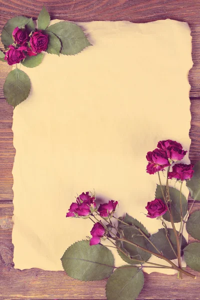 Dried roses on  paper — Stock Photo, Image