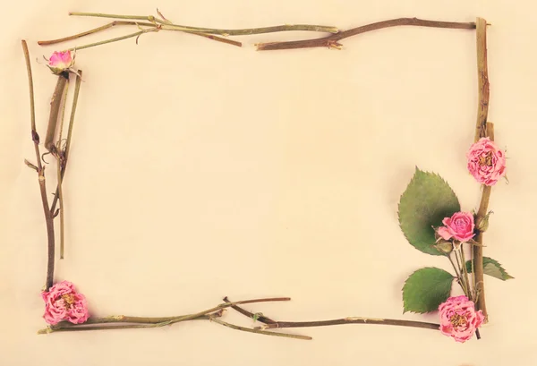 Αποξηραμένα λουλούδια στο χαρτί — Φωτογραφία Αρχείου