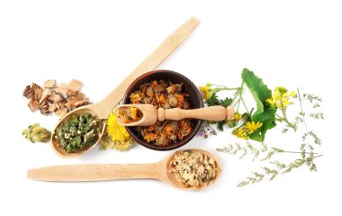 Doğal çiçek ve bitki seçimi